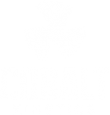 cobaltkinetics-logo cobaltkinetics-logo